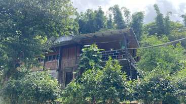 Dieses Bild zeigt ein rustikales Holzhaus, umgeben von üppig grünen Bäumen und Pflanzen. Das Haus hat einen Balkon, ein Metalldach und ist in die Natur eingebettet.