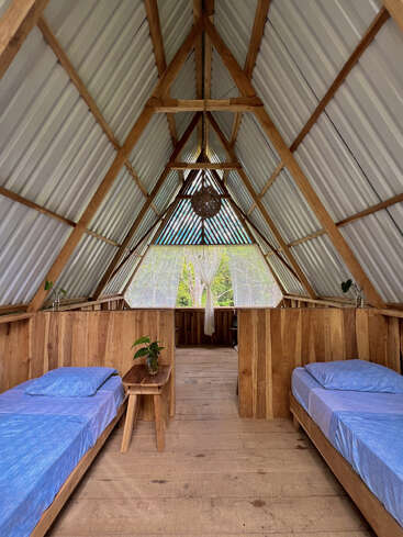 This cozy A-frame cabin interior features two single beds with blue sheets, wooden floors and walls, a central table with a plant, and sunlight streaming in.