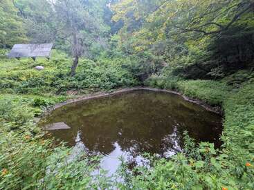 Há um pequeno lago lamacento cercado por uma vegetação exuberante e flores silvestres. Árvores altas projetam sua sombra sobre ele, enquanto uma construção coberta se ergue ao fundo, em uma colina.