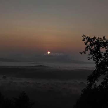 Un lever de soleil paisible sur des collines brumeuses, avec un soleil rayonnant émergeant d'un ciel doux et brumeux. Des branches d'arbre silhouettées encadrent le paysage paisible en contrebas.