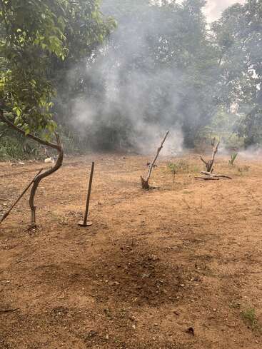 Une clairière enfumée et poussiéreuse avec un sol brun sec, des branches éparses et un outil en métal. Des arbres et un épais feuillage vert entourent cette scène extérieure brumeuse et tranquille.