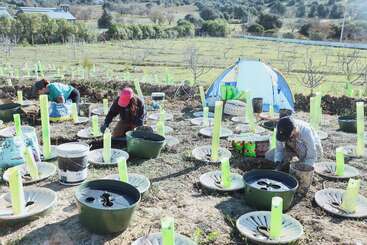 Trois personnes travaillent dans une petite ferme, plantant des jeunes arbres protégés par des tubes verts. Du matériel, des seaux et une tente bleue sont éparpillés dans le champ baigné de soleil.