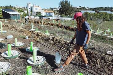 Une personne portant des gants et un bonnet rouge arrose de jeunes plants par une journée ensoleillée, dans un jardin ou une ferme, avec des maisons et des arbres en arrière-plan.
