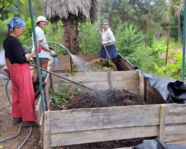 Trois femmes travaillent ensemble dans un jardin, arrosant et s'occupant des bacs à compost au milieu d'une végétation luxuriante ; elles portent des foulards et des vêtements confortables, et sont souriantes et concentrées.