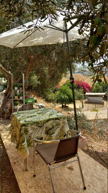 Una acogedora mesa y una silla de exterior con un frondoso mantel se sientan bajo una gran sombrilla, rodeados de árboles, plantas y un rústico paisaje de jardín a la luz del sol.