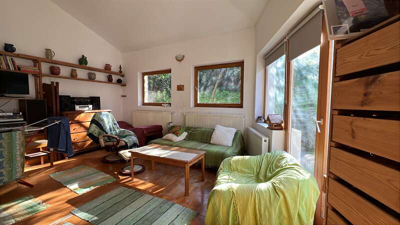 Ein gemütliches, sonnendurchflutetes Wohnzimmer mit Holzmöbeln, grünen und cremefarbenen Sofas, großen Fenstern, offenen Regalen, Teppichen, Pflanzen und natürlichem Licht, das durch die Glastüren hereinströmt.
