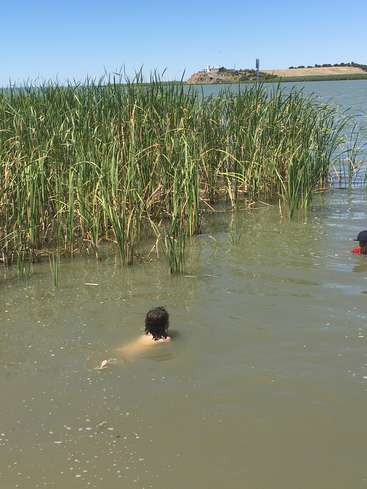 Das Bild zeigt eine heitere Szene mit zwei Personen, die in trübem Wasser waten, umgeben von hohen Gräsern, mit einem entfernten Hügel und einem klaren blauen Himmel im Hintergrund.