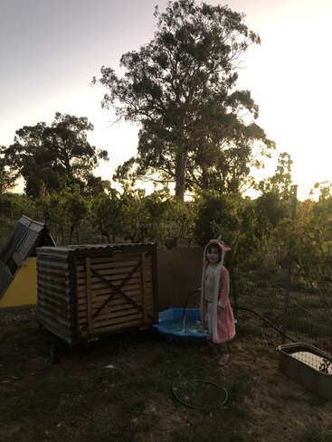 Das Bild zeigt ein junges Mädchen in einem rosa Tierkostüm, das neben einem kleinen Teich und einem Hühnerstall in einer ländlichen Umgebung mit Bäumen und einem Zaun steht.