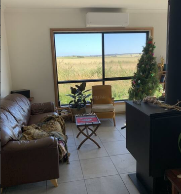 Ein gemütliches Wohnzimmer mit einem braunen Sofa, einem gelben Stuhl, einem Weihnachtsbaum, einem Couchtisch, einem großen Fenster mit Blick auf die Felder, Zimmerpflanzen und einem Kamin.