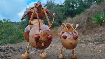 Two quirky, handmade wooden bug sculptures with expressive eyes stand on a dirt path outdoors; one features a grasshopper on its back, surrounded by natural greenery.