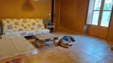 A cozy living room with tiled floors, simple furniture including a futon, table, pallet coffee table, and chair. A large dog is peacefully sleeping on the floor.