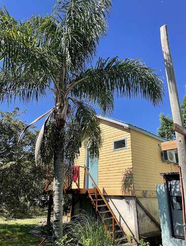 A tall palm tree stands beside a small yellow house elevated on stilts, with a blue door and stairs, under a clear blue sky, in sunlight.