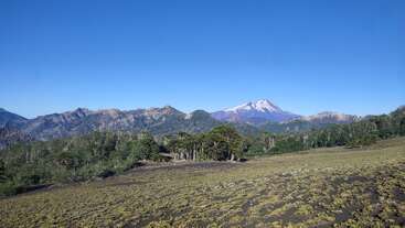 A clear blue sky stretches above snow-capped mountains and dense green forests. In the foreground, sparse vegetation covers rolling terrain, creating a peaceful, scenic landscape.