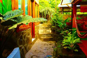 A colorful courtyard features lush green plants, stone paths, rustic steps, wooden windows, and a striped hammock, creating a vibrant, tranquil, and inviting tropical atmosphere.