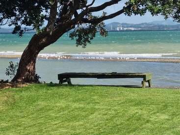 La imagen representa una escena serena con un árbol, un banco y una zona de césped con vistas a una masa de agua y olas que rompen suavemente en la orilla.