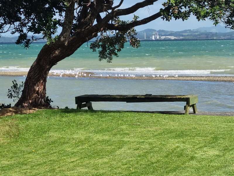La imagen representa una escena serena con un árbol, un banco y una zona de césped con vistas a una masa de agua y olas que rompen suavemente en la orilla.