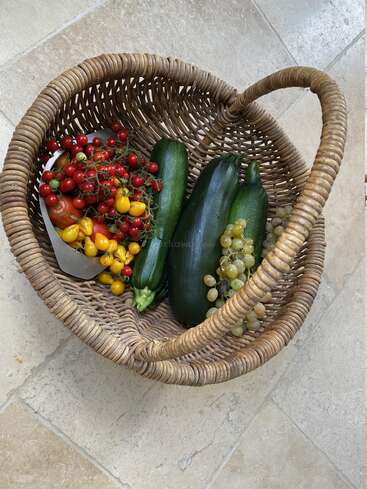 A wicker basket on a tiled floor contains freshly picked produce: red and yellow cherry tomatoes, two large zucchinis, and a bunch of green grapes.