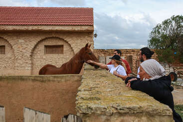 Four people stand by a stone wall, gently petting a brown horse in its enclosure. The scene takes place in front of a rustic stone stable.