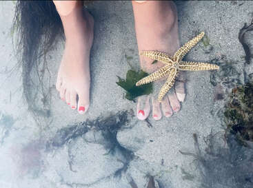 Das Bild zeigt die Füße eines Menschen, der auf einem Sandstrand steht, mit einem Seestern und Seegras in der Nähe, was eine heitere und natürliche Umgebung darstellt.