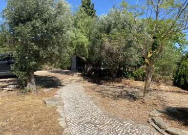 Un sentier pavé baigné de soleil serpente à travers un jardin rustique et aride, parsemé de quelques arbres et d'une pelouse clairsemée, avec une voiture garée partiellement visible sur la gauche.