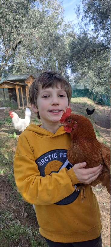 Un jeune garçon souriant vêtu d'un sweat à capuche jaune tient un poulet brun dans ses bras. Derrière lui, des poulets se promènent librement dans un espace extérieur ensoleillé et ombragé par des arbres, près d'un poulailler.