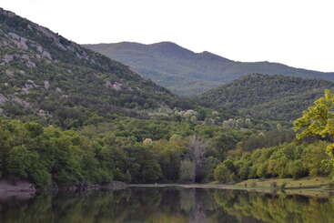 The image depicts a serene landscape featuring a lake, lush trees, and rolling hills, set against a gray sky, evoking a sense of calm and natural beauty.