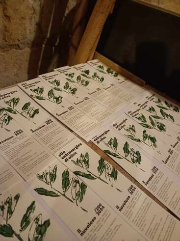 Auf einer Holzoberfläche liegen ein paar Broschüren, die mit Olivenzweig-Illustrationen und italienischem Text für „Olio extravergine di oliva” und „Il nuvoloso 2023/2024” werben.