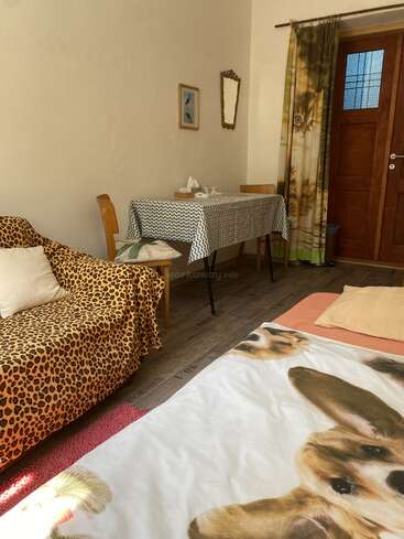 Une chambre confortable avec une décoration sur le thème des animaux : canapé imprimé guépard, couverture pour chien, rideau pour chat. Table avec deux chaises, art mural, miroir, porte en bois et lumière naturelle.