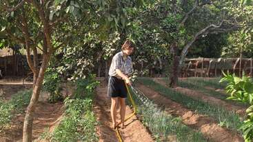 Une personne arrose des rangées de légumes dans un jardin luxuriant, entouré d'arbres et de verdure, à l'aide d'un tuyau jaune par une journée ensoleillée.