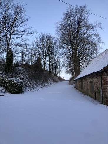 Eine ruhige, schneebedeckte Landstraße schlängelt sich an einem alten Backsteingebäude vorbei, flankiert von kahlen Bäumen vor einem klaren, blassblauen Winterhimmel. Still, friedlich.