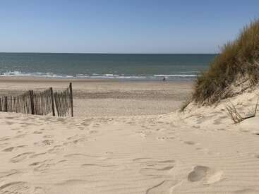 Ein ruhiger Sandstrand mit Dünen und vereinzelten Grasbüscheln unter einem strahlend blauen Himmel. Ein Holzzaun verläuft teilweise quer darüber, und in der Ferne sind sanfte Wellen zu sehen.