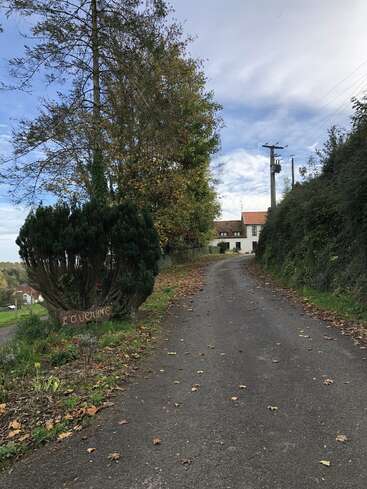 Una sinuosa carretera rural asciende por la ladera, flanqueada por arbustos y árboles verdes. Las hojas esparcidas cubren el camino, que termina en una casa blanca con techo rojo.