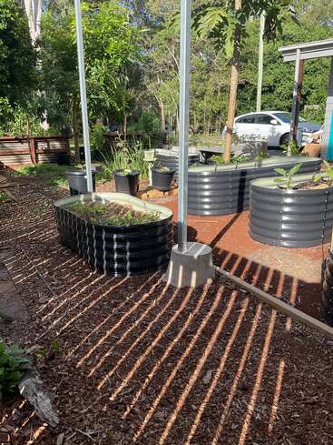 Sonnenlicht fällt durch Gartenstangen auf Mulch und erhöhte Metallbeete mit grünen Pflanzen und kleinen Bäumen neben einer Auffahrt, wo ein weißes Auto geparkt ist.