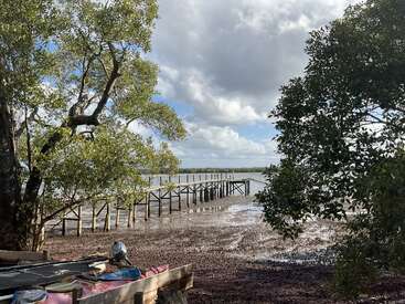 Ein Holzsteg geht über schlammige Wattflächen, umgeben von grünen Bäumen. Ein teilweise bewölkter Himmel hängt darüber. Im Vordergrund stehen Kajaks oder Boote.