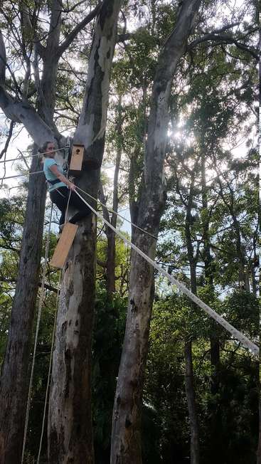 Uma mulher está subindo em uma árvore alta com uma escada de corda, alcançando uma casa de passarinho de madeira presa ao tronco. Ela está vestindo uma camisa azul clara e calça preta.