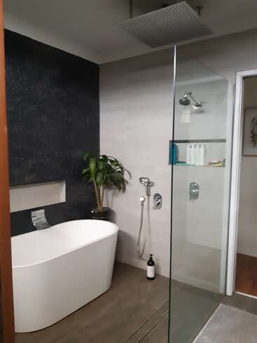A imagem mostra um banheiro moderno com banheira branca, chuveiro e porta de vidro, com um vaso de plantas e um frasco de sabonete no chão.