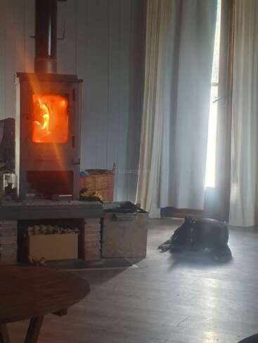 Une chambre confortable avec un poêle à bois diffusant de la chaleur, un chien confortablement allongé sur le sol, la lumière du soleil passant à travers une fenêtre à rideaux et un mobilier en bois rustique.