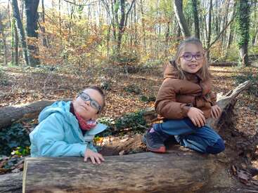 Two children wearing glasses and warm jackets sit on fallen tree trunks in a sunlit forest. Autumn leaves cover the ground. They both smile happily.