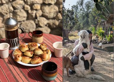 Das Bild zeigt ein gemütliches Frühstück im Freien mit Kaffee, Tassen und Gebäck und eine Frau in einem Garten, die einen großen weißen Hund liebevoll umarmt.