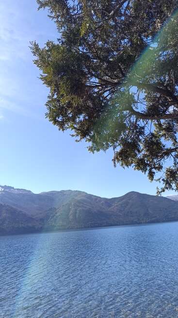 A tranquil lake reflects the clear blue sky, with distant mountains in the background. A leafy tree branch overhangs the scene, highlighted by sunlight. Beautiful view.
