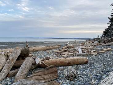 A rocky beach covered with large driftwood logs stretches along calm water, under a cloudy sky. Distant hills and scattered trees line the tranquil shoreline.