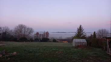 A peaceful countryside scene at dawn shows mist over distant hills, bare trees, a grassy field, greenhouse, and soft purple hues in the sky. Tranquil atmosphere.