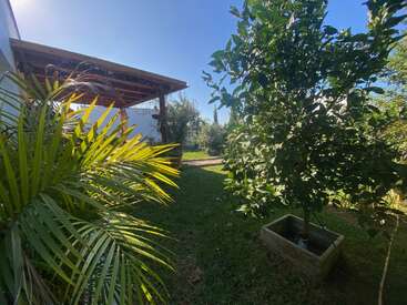 Una soleada escena de jardín con exuberantes plantas verdes, un árbol en maceta y un patio con tejado de madera junto a un edificio blanco bajo un cielo azul despejado.
