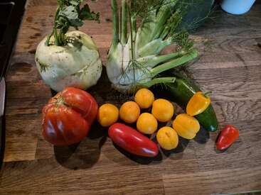 Eine bunte Auswahl an frischem Gemüse, darunter Kohlrabi, Fenchel, Tomaten, Gurken, gelbe Kirschtomaten, eine Paprika und eine rote Chilischote auf einer Holzunterlage.