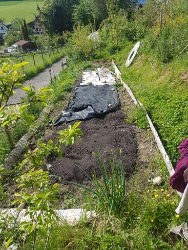 Ein kleines Beet am Hang mit dunkler Erde, schwarzer Plane, Pflanzen und ein paar Steinen. Umgeben von grüner Vegetation, mit Blick auf eine ländliche Landschaft mit Häusern.
