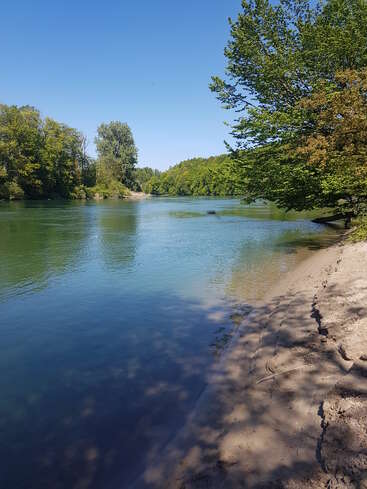Ein ruhiger Fluss fließt gemächlich dahin, gesäumt von üppig grünen Bäumen unter einem strahlend blauen Himmel. Sandige Ufer und sanftes Wasser spiegeln die friedliche, sonnige Atmosphäre wider.