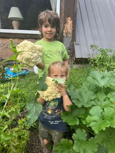 Two children stand in a lush garden holding freshly picked cauliflower. The older child smiles proudly, while the younger partially hides their face behind the vegetable.