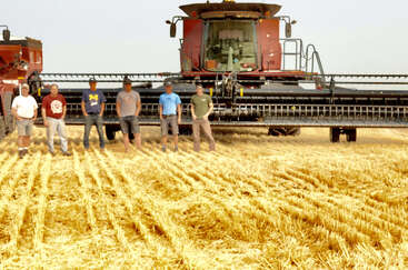 Six men stand in a golden wheat field in front of a large red combine harvester. The sky is clear and the atmosphere is bright.