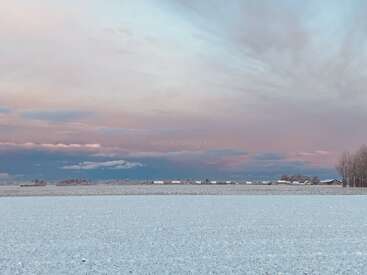 Un paysage d'hiver serein avec un champ enneigé au premier plan, un ciel pastel coloré au crépuscule, des bâtiments éloignés et une ligne d'arbres dénudés sur la droite.
