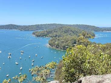 A stunning view of a blue bay dotted with boats, surrounded by lush green islands and clear skies, with vibrant foliage in the foreground. Serene scenery.
